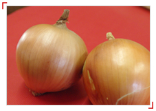 ���Ɍ��W�H���Y�̋ʂ˂�